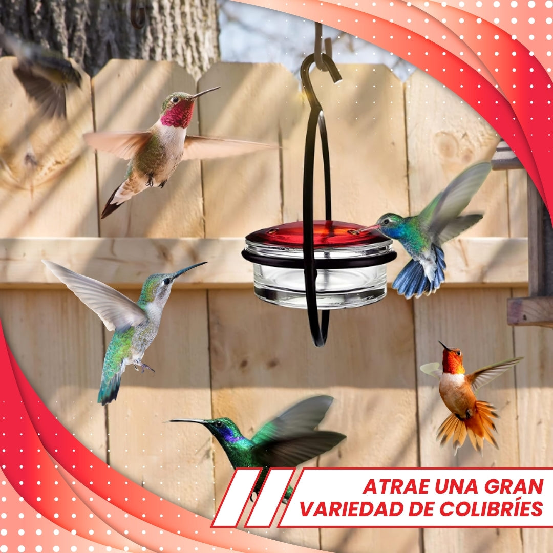COMEDERO COLIBRÍES!🐦 PAGA 2 LLEVA 3