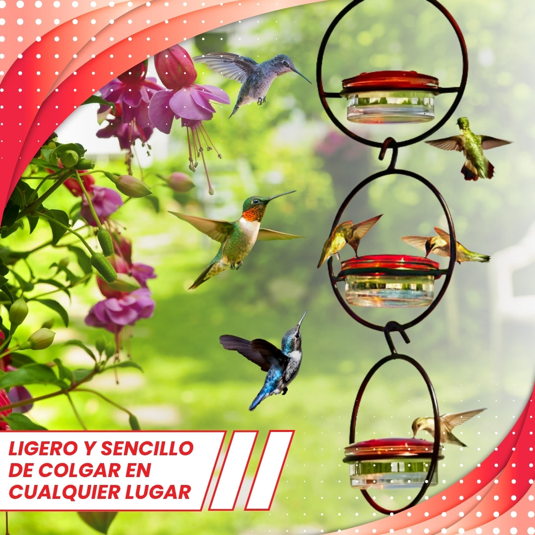 COMEDERO COLIBRÍES!🐦 PAGA 2 LLEVA 3