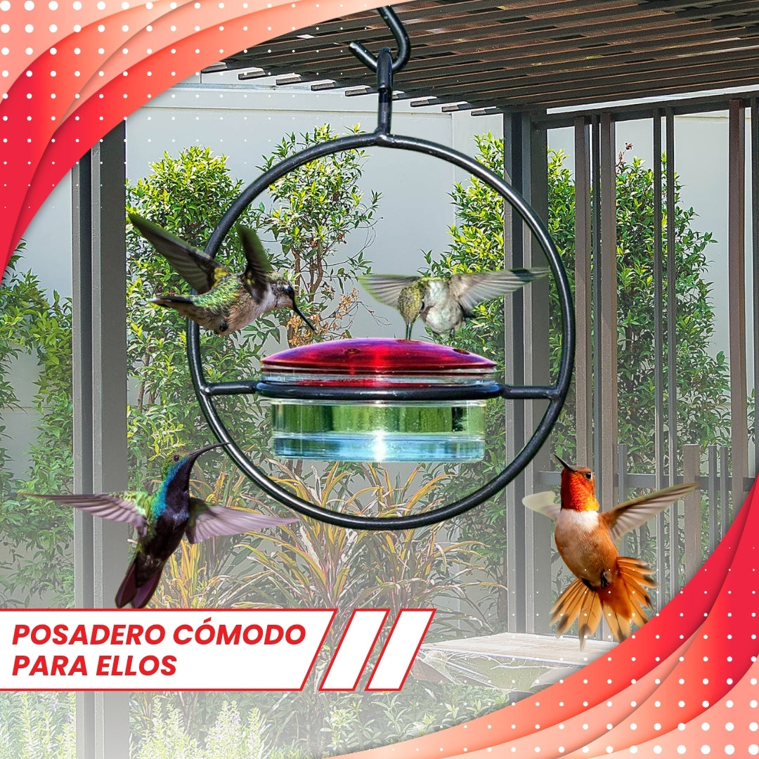 COMEDERO COLIBRÍES!🐦 PAGA 2 LLEVA 3