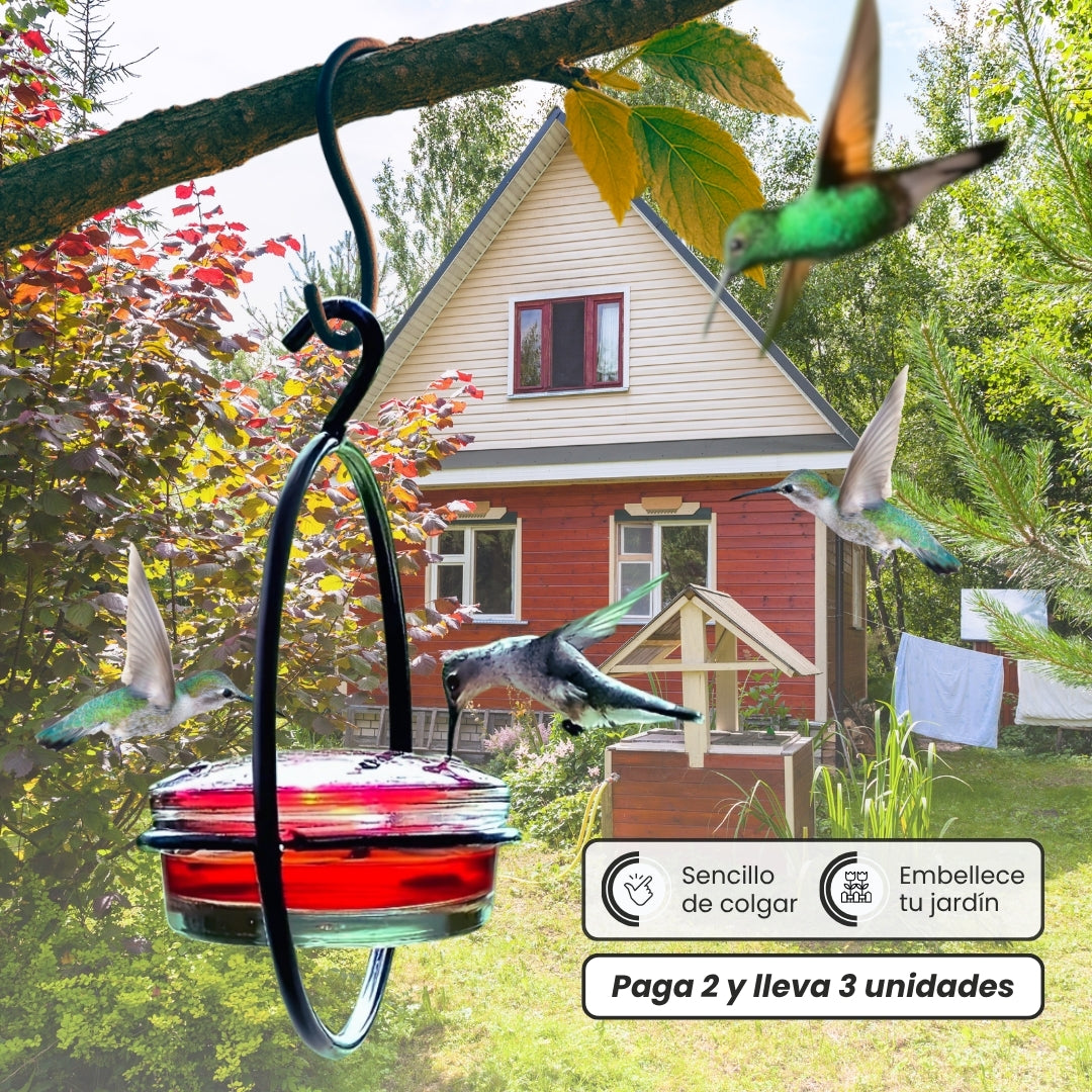 COMEDERO COLIBRÍES!🐦 PAGA 2 LLEVA 3
