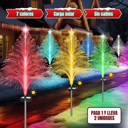 LUZ NAVILIGTH® ¡PAGA 1 LLEVA 2!